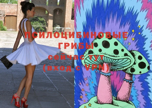 ПСИЛОЦИБИНОВЫЕ ГРИБЫ Алексеевка