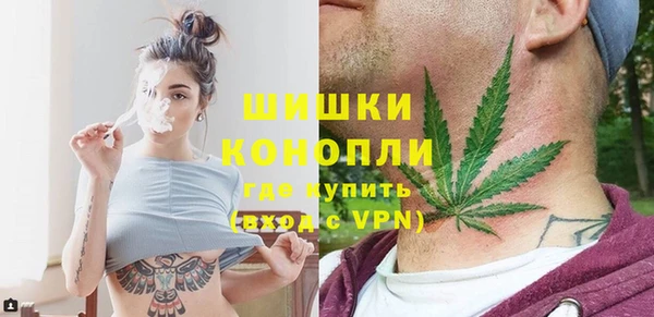 ПСИЛОЦИБИНОВЫЕ ГРИБЫ Алексеевка