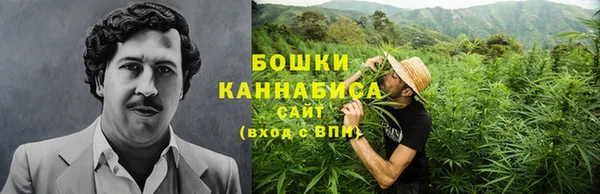 ПСИЛОЦИБИНОВЫЕ ГРИБЫ Алексеевка