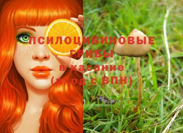 ПСИЛОЦИБИНОВЫЕ ГРИБЫ Алексеевка