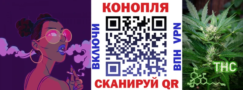 Каннабис план  купить наркотик  ссылка на мегу ссылки  Лесосибирск 